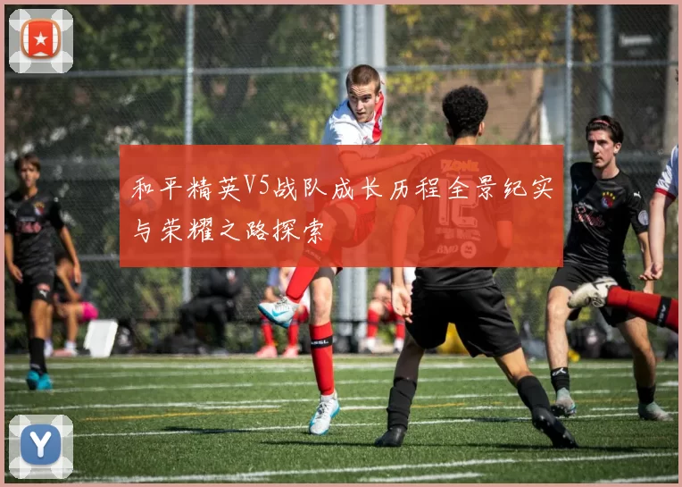 和平精英V5战队成长历程全景纪实与荣耀之路探索