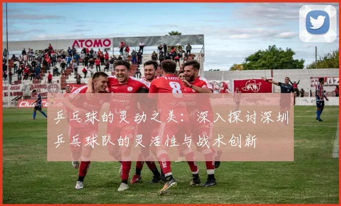 乒乓球的灵动之美：深入探讨深圳乒乓球队的灵活性与战术创新