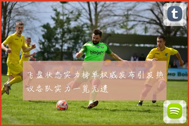 飞盘状态实力榜单权威发布引发热议各队实力一览无遗