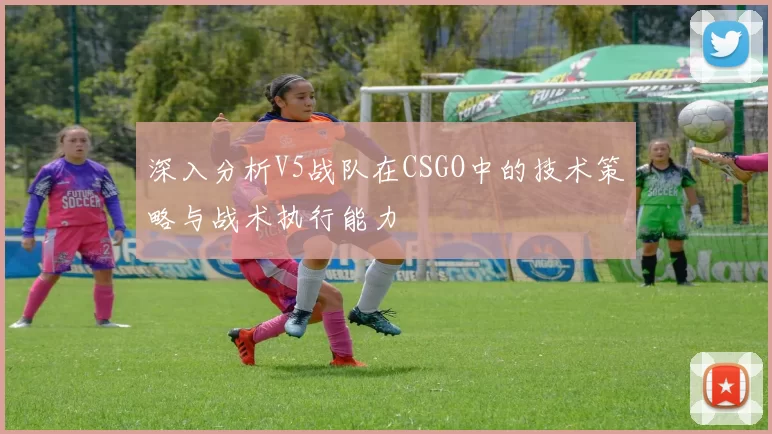 深入分析V5战队在CSGO中的技术策略与战术执行能力