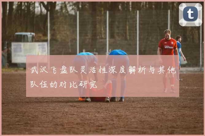 武汉飞盘队灵活性深度解析与其他队伍的对比研究